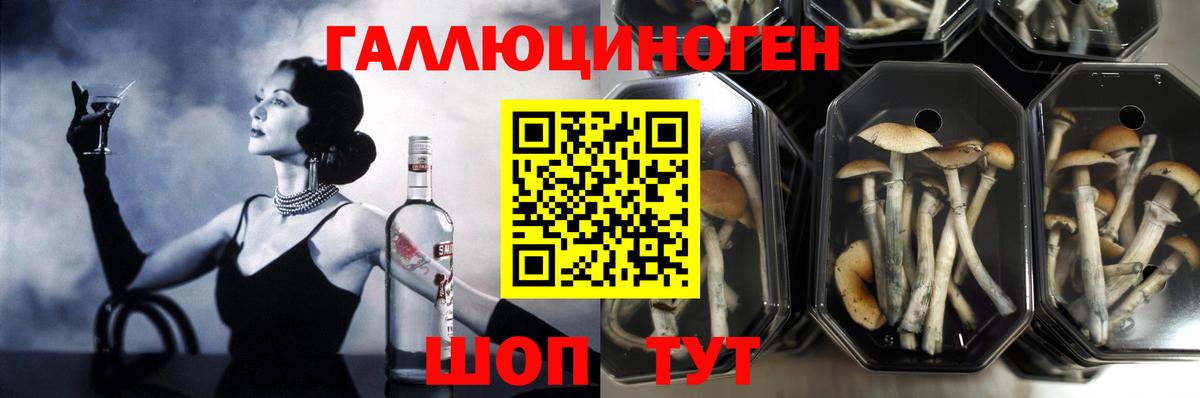 Псилоцибиновые грибы Psilocybine cubensis Донецк